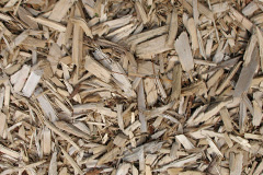 biomass boilers Marpleridge